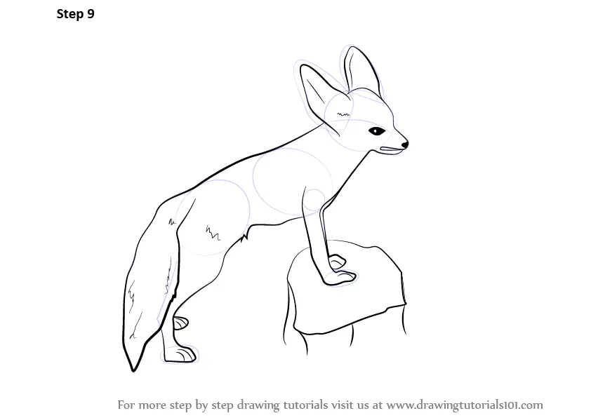 Learn How to Draw a Fennec Fox (Wild Animals) Step by Step Drawing