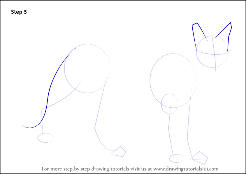 Learn How to Draw a Gray fox (Wild Animals) Step by Step : Drawing