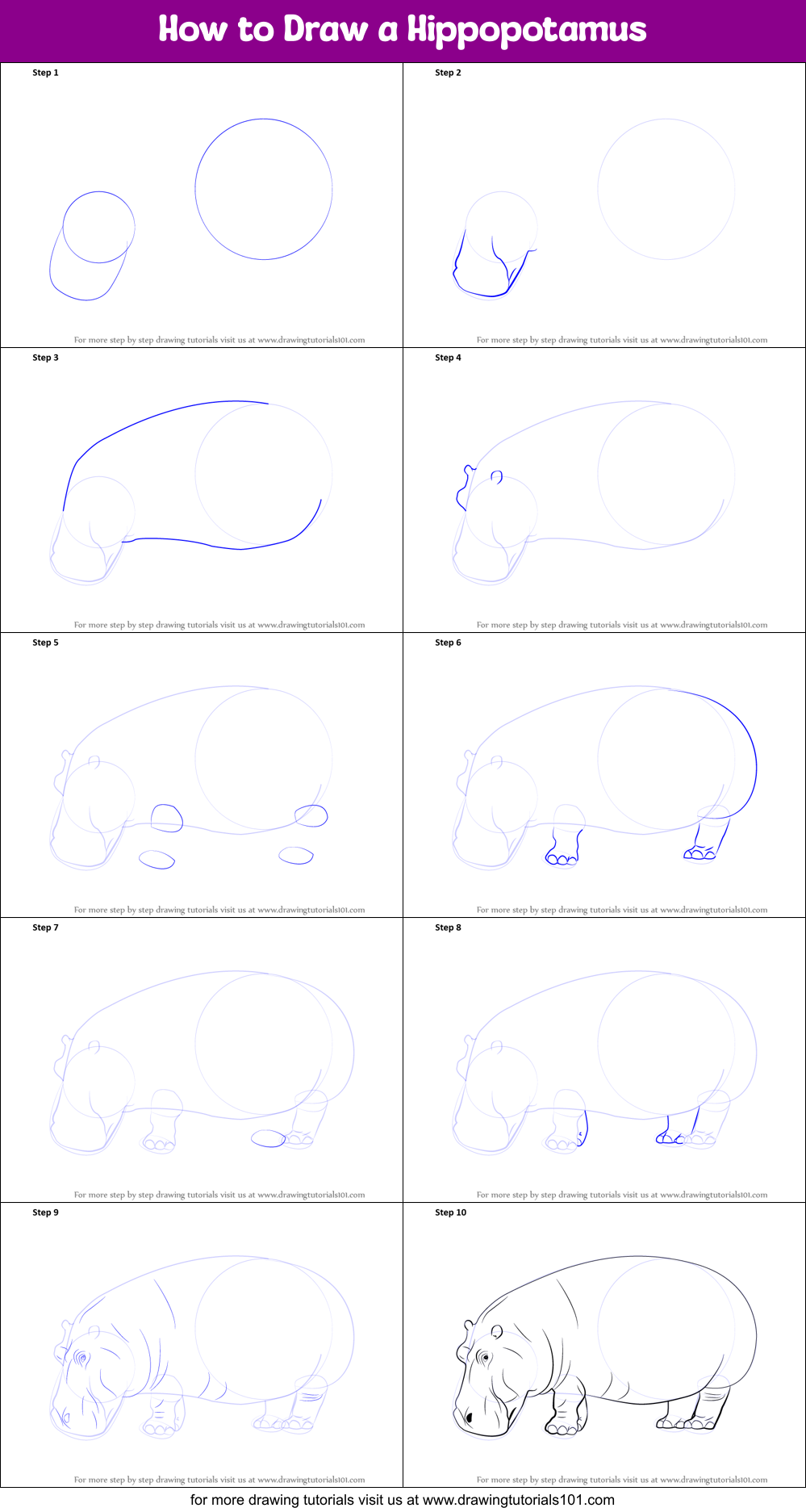 How to Draw a Hippopotamus printable step by step drawing sheet ...