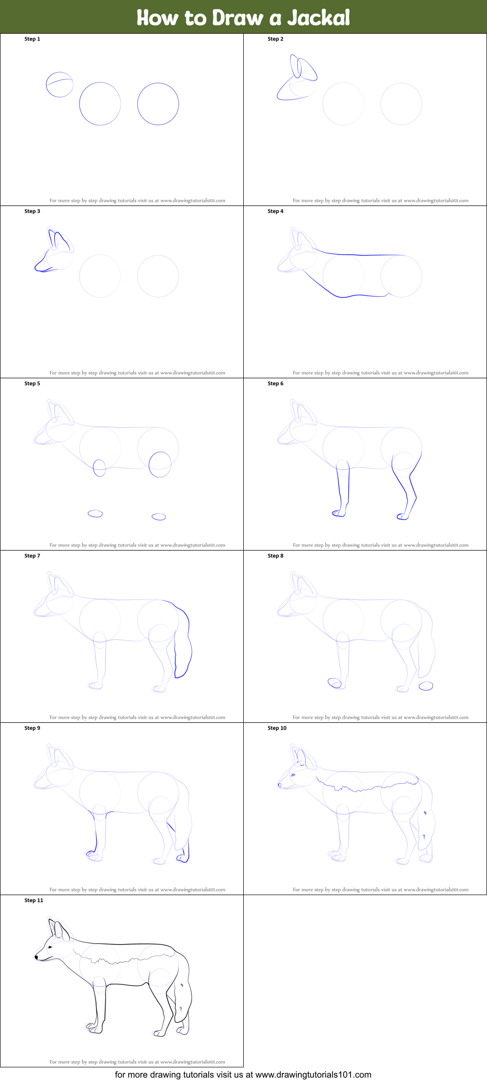 How to Draw a Jackal printable step by step drawing sheet