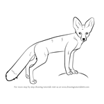 How to Draw a Kit Fox