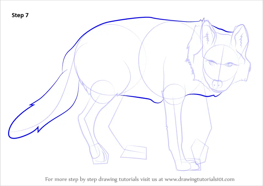 Learn How to Draw a Mexican Wolf (Wild Animals) Step by Step : Drawing ...