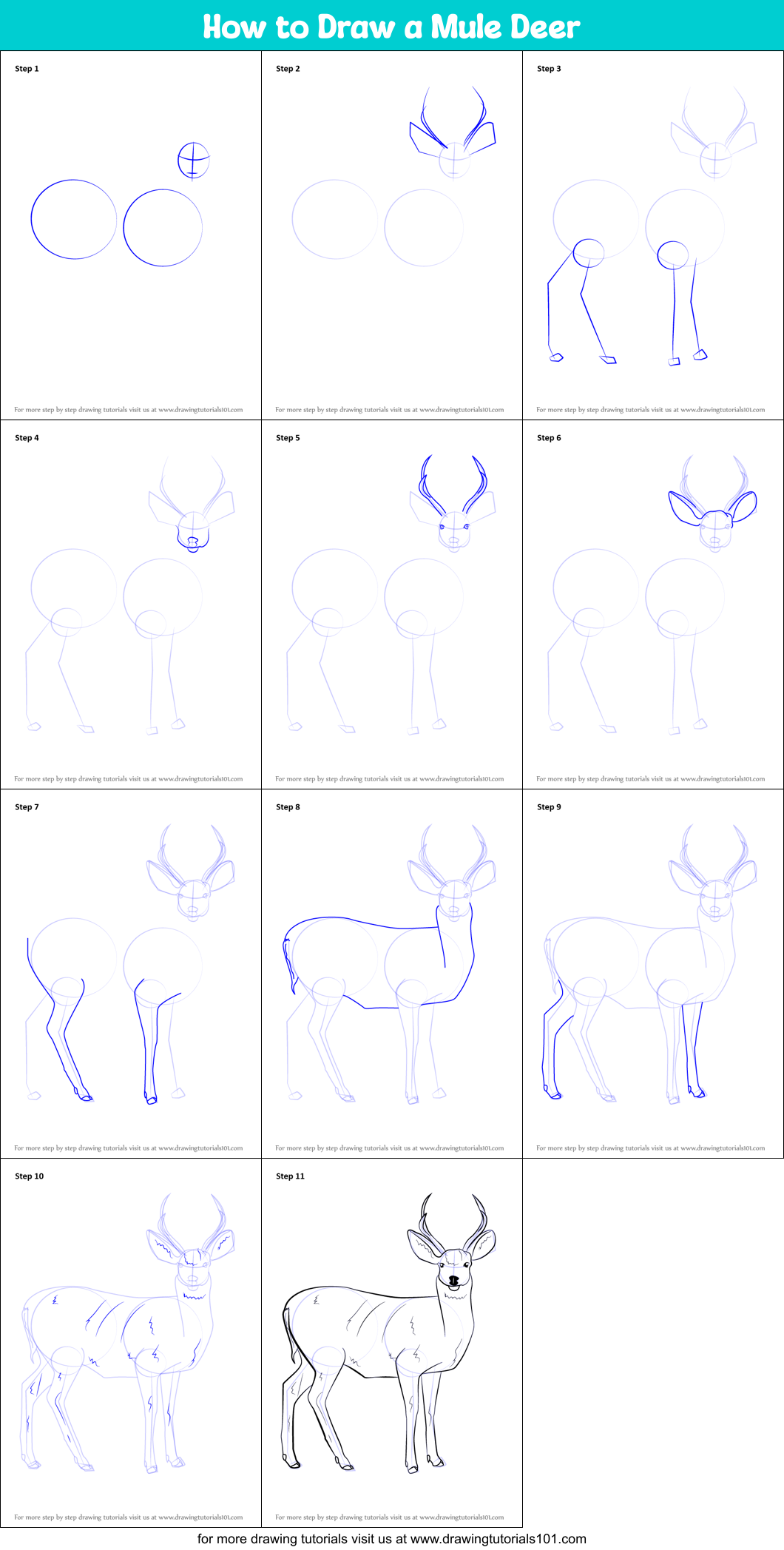 How to Draw a Mule Deer printable step by step drawing sheet