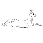 How to Draw a Roe Deer