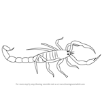 How to Draw a Scorpio