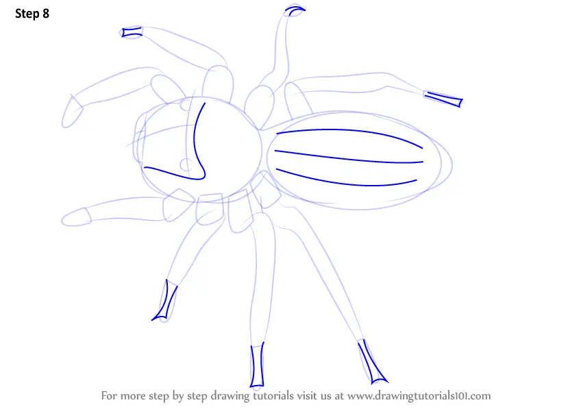 Learn How to Draw a Spider (Wild Animals) Step by Step : Drawing Tutorials