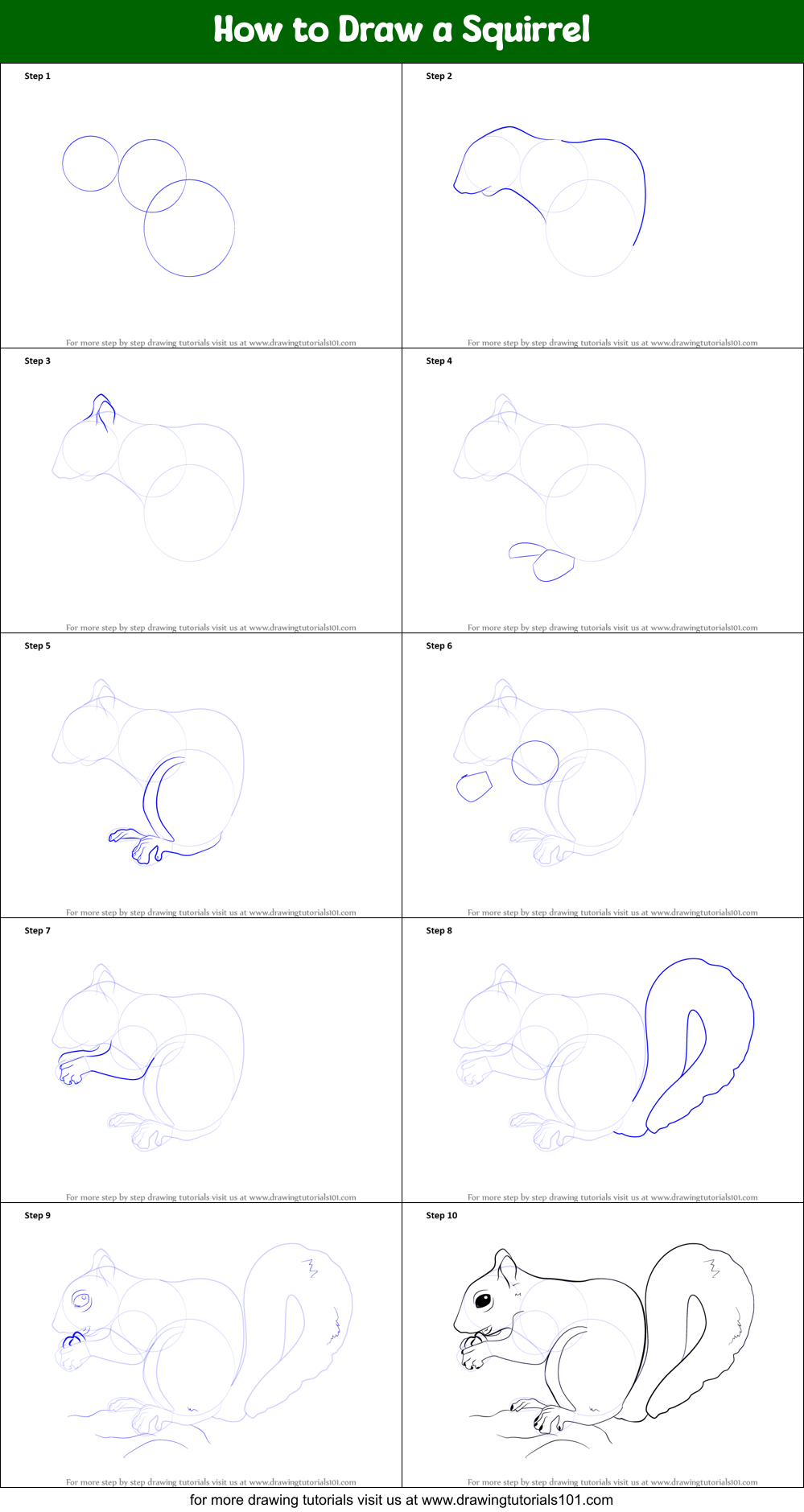 How To Draw A Squirrel Printable Step By Step Drawing Sheet ...