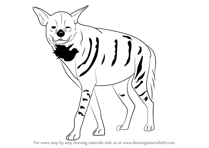 Learn How to Draw a Striped Hyena (Wild Animals) Step by Step Drawing