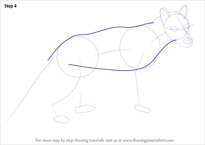 Learn How to Draw a Tasmanian tiger (Wild Animals) Step by Step ...