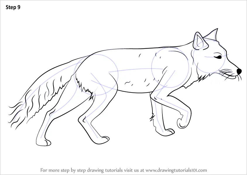Learn How to Draw a Tibetan Fox (Wild Animals) Step by Step : Drawing ...
