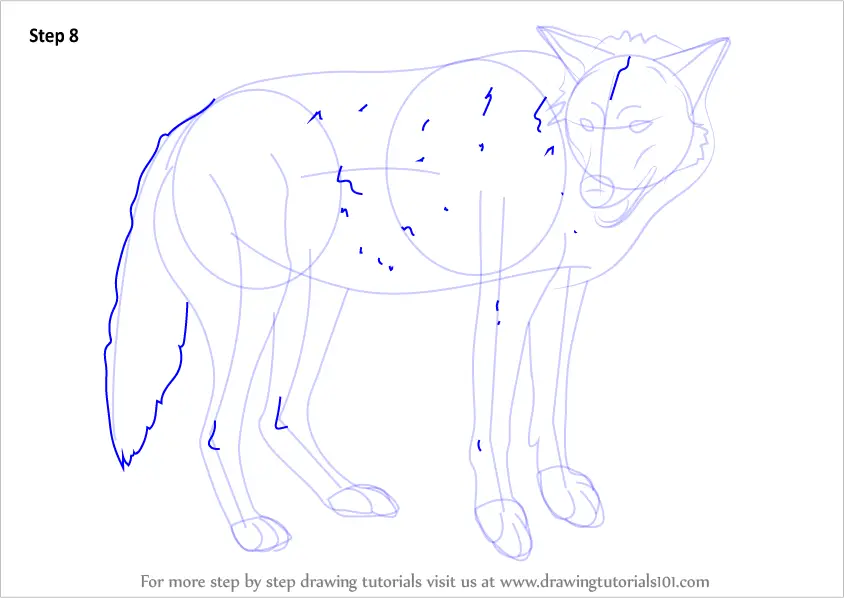 Learn How to Draw a Timber Wolf (Wild Animals) Step by Step : Drawing ...