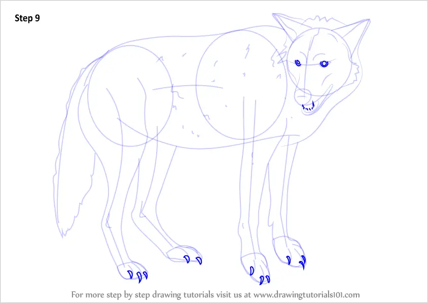 Learn How to Draw a Timber Wolf (Wild Animals) Step by Step : Drawing ...