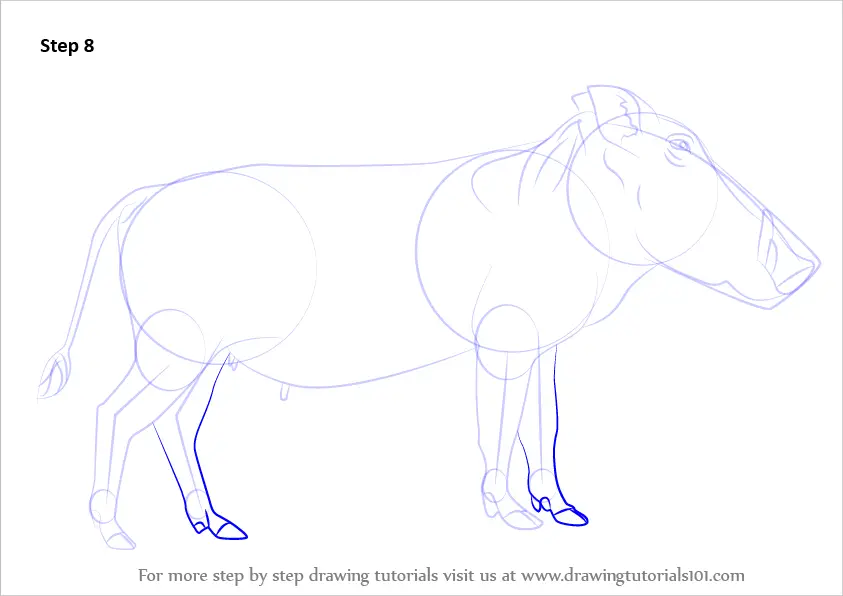 Learn How to Draw a Warthog (Wild Animals) Step by Step Drawing Tutorials