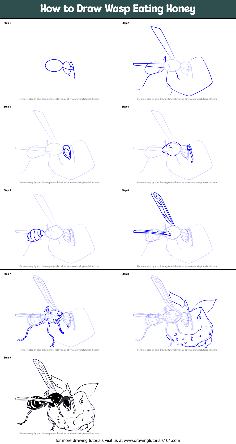 How To Draw Wasp Eating Honey Printable Step By Step Drawing Sheet 