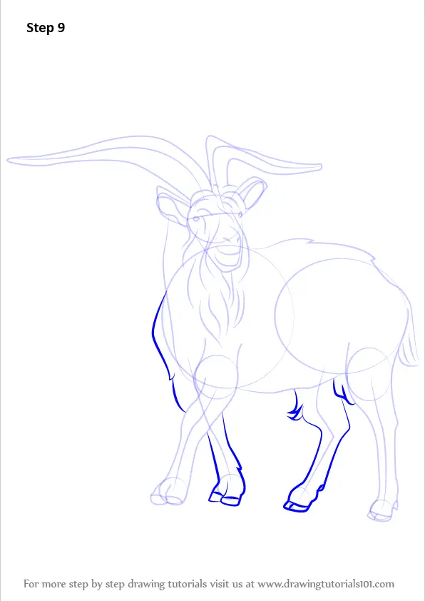 Learn How to Draw a Wild Goat (Wild Animals) Step by Step : Drawing