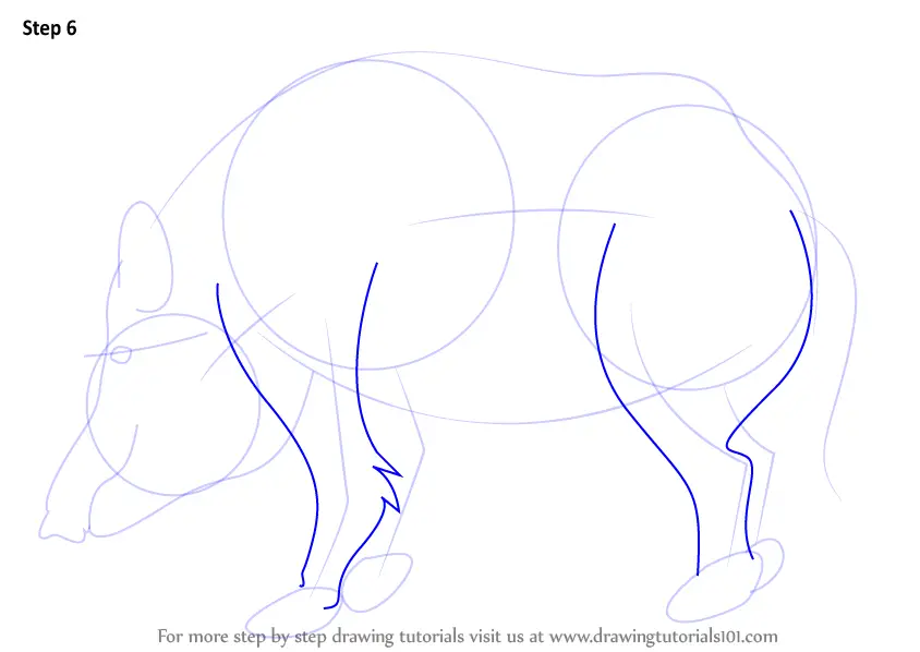 Learn How To Draw A Wild Boar (Wild Animals) Step By Step : Drawing ...