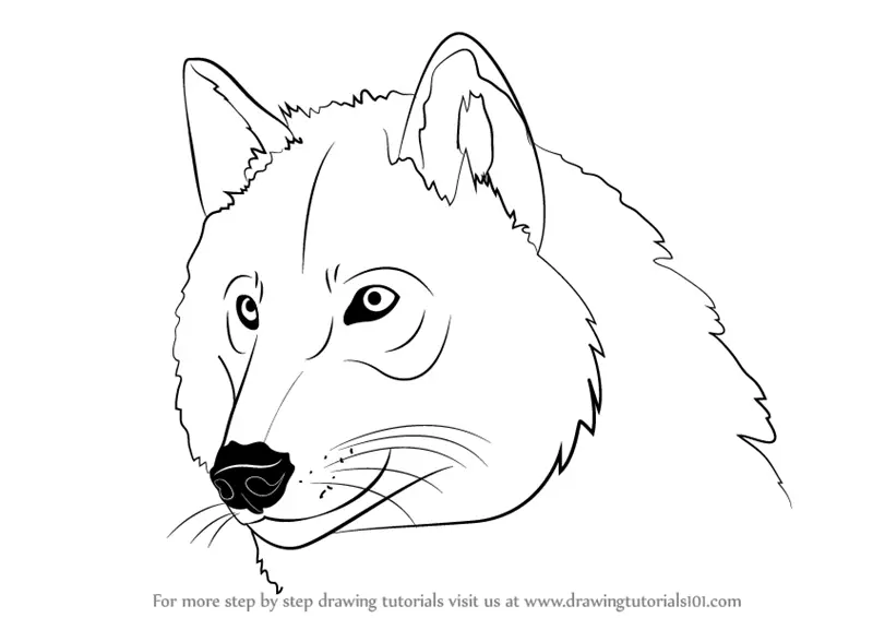 Learn How to Draw a Wolf Head (Wild Animals) Step by Step : Drawing ...