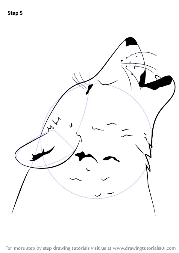 Step by Step How to Draw a Wolf Howling