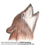How to Draw a Wolf Howling