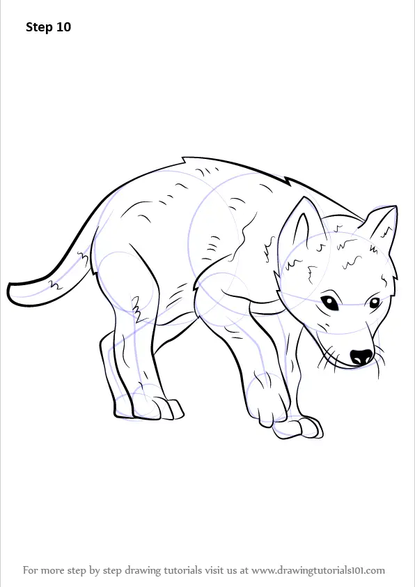 Learn How to Draw a Wolf Pup (Wild Animals) Step by Step Drawing