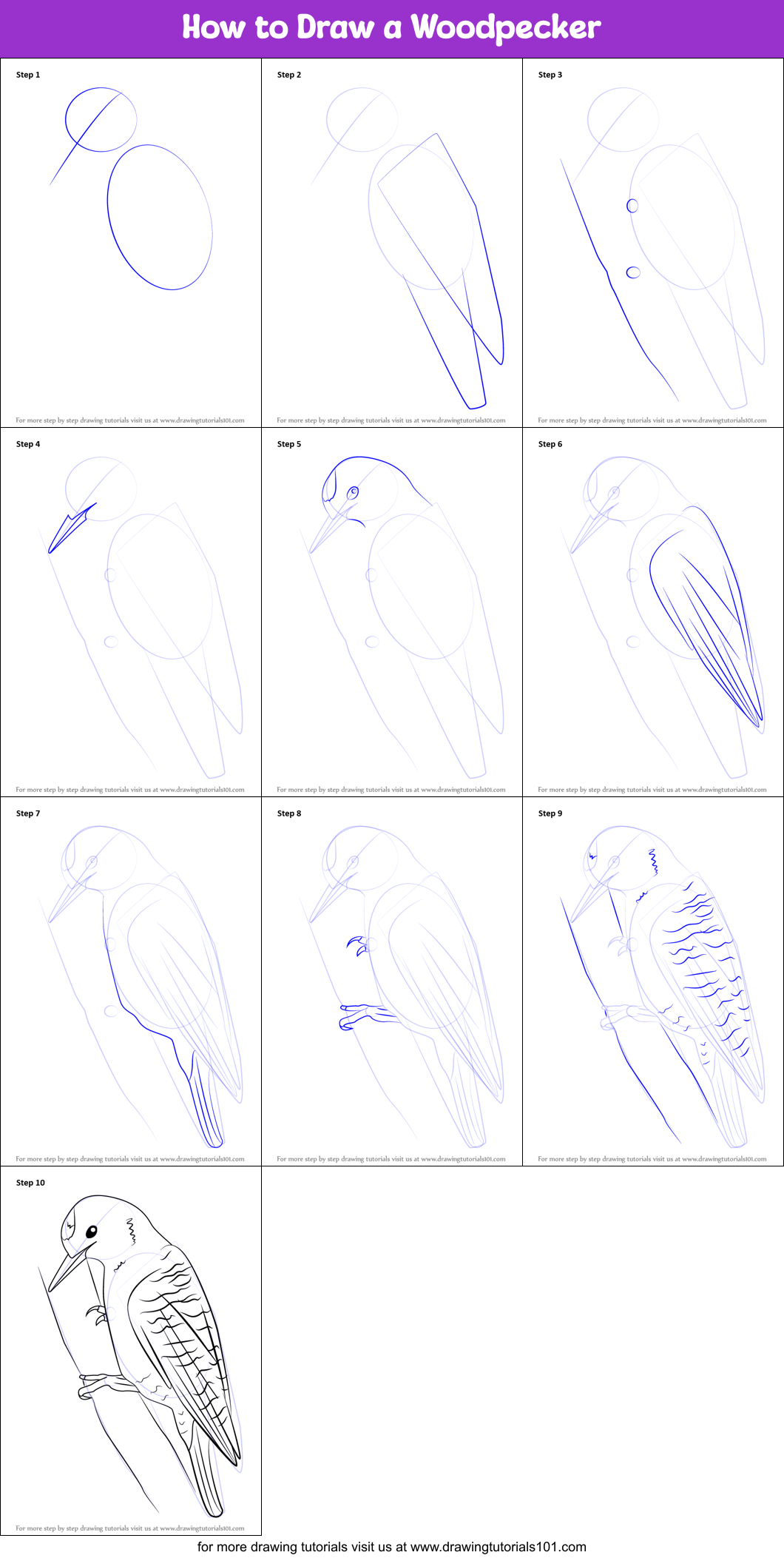 How to Draw a Woodpecker printable step by step drawing sheet