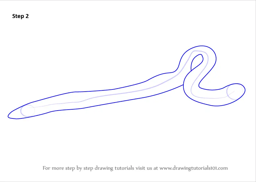 Learn How to Draw an Earthworm (Worms) Step by Step : Drawing Tutorials