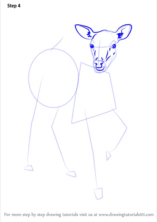 Learn How to Draw a Baby Deer (Zoo Animals) Step by Step : Drawing
