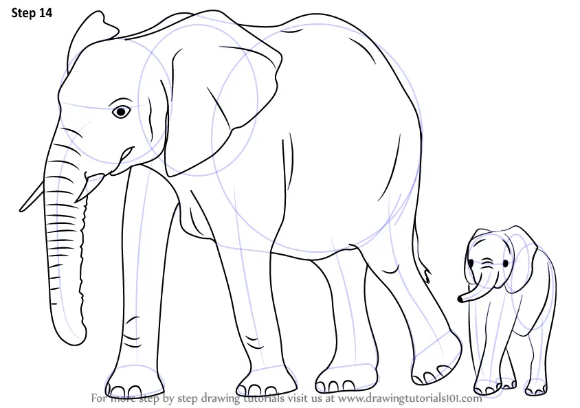 Learn How to Draw an Elephant Family Zoo Animals Step by Step  Drawing  Tutorials
