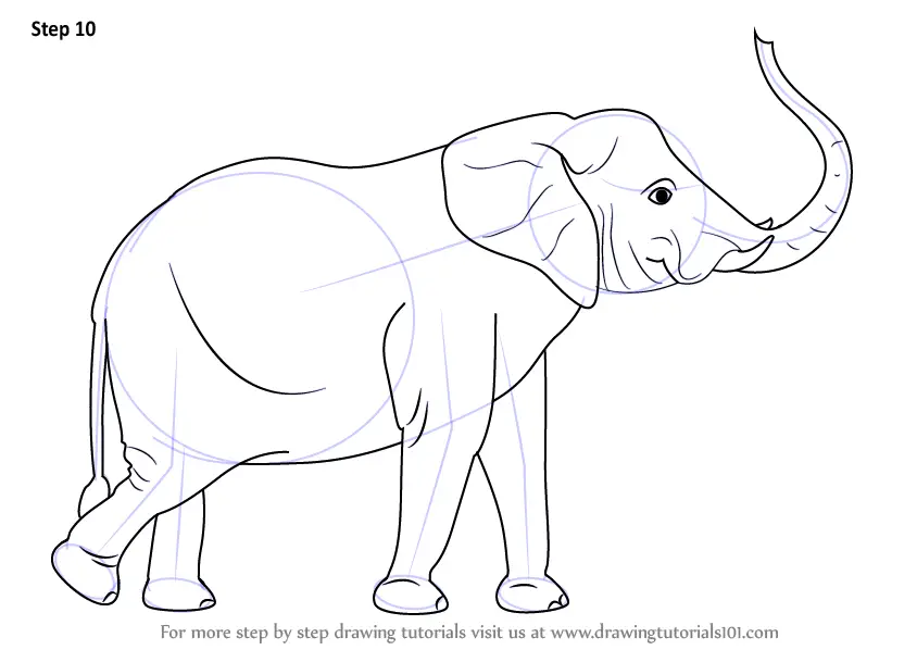 Learn How to Draw an Elephant with its Trunk Up (Zoo Animals) Step by