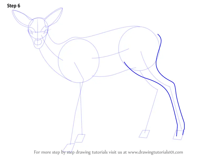 Learn How to Draw a Baby Deer aka Fawn (Zoo Animals) Step by Step