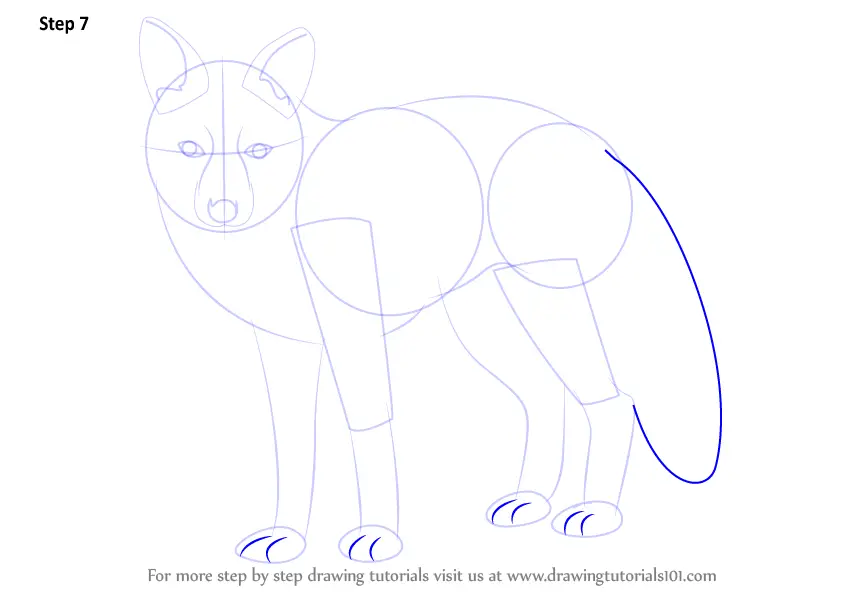 Learn How to Draw a Fox (Zoo Animals) Step by Step : Drawing Tutorials