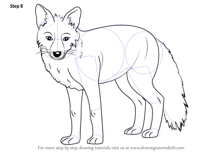 Learn How to Draw a Fox (Zoo Animals) Step by Step Drawing Tutorials