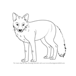 How to Draw a Fox