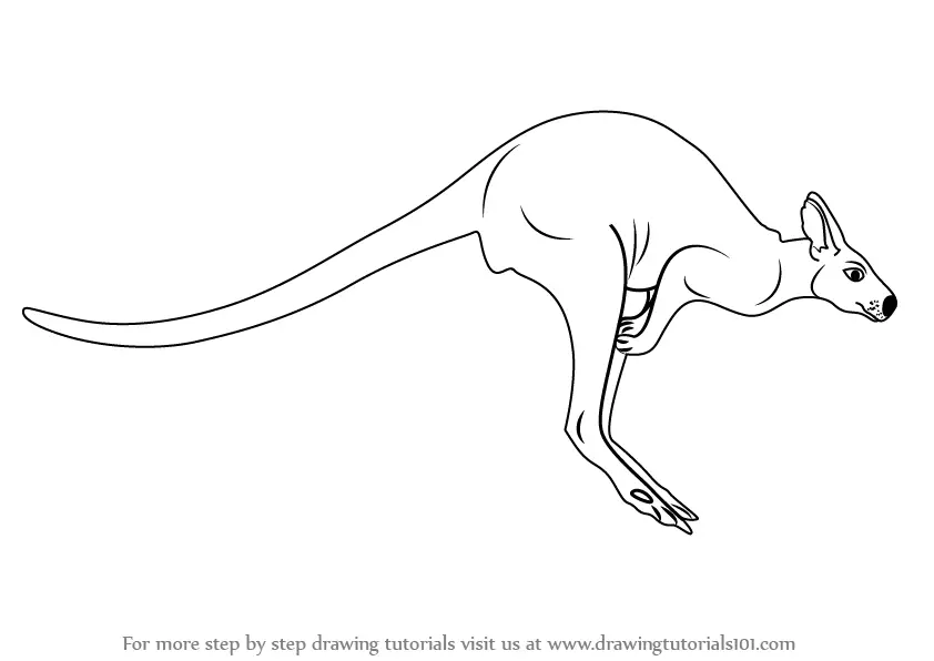how-to-draw-kangaroo-step-0.png