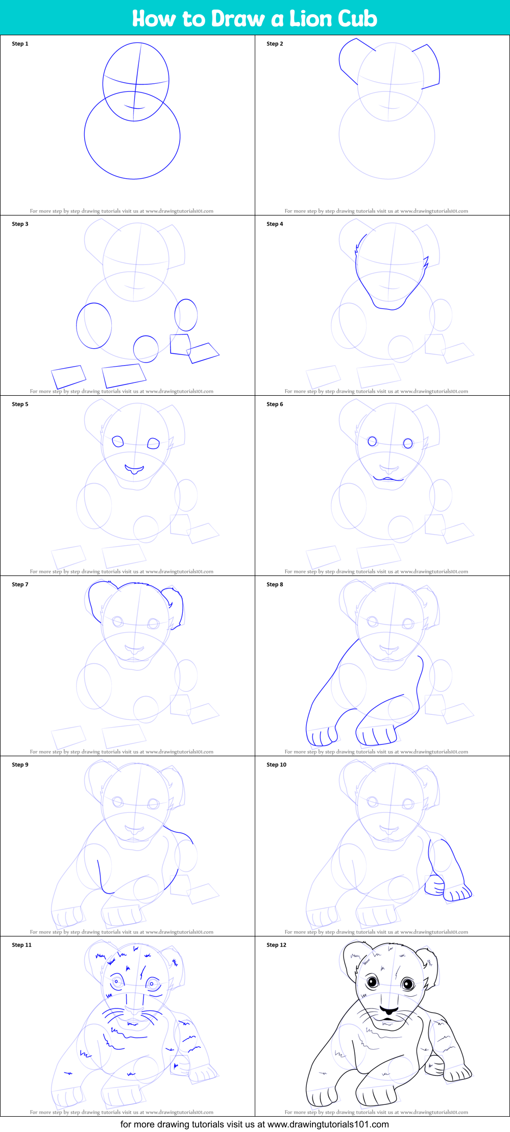 How to Draw a Lion Cub Step by Step