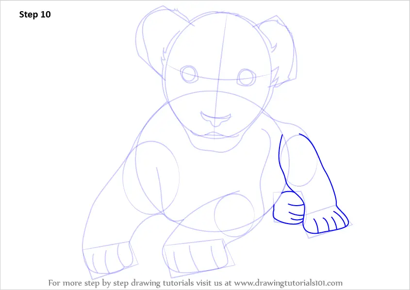 Step by Step How to Draw a Lion Cub : DrawingTutorials101.com