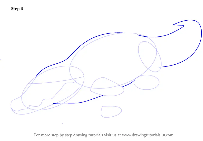 Step by Step How to Draw a Crocodile : DrawingTutorials101.com