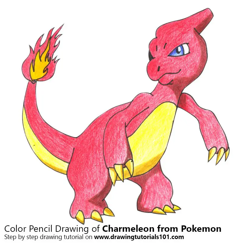 Charmeleon from Pokemon Color Pencil Drawing