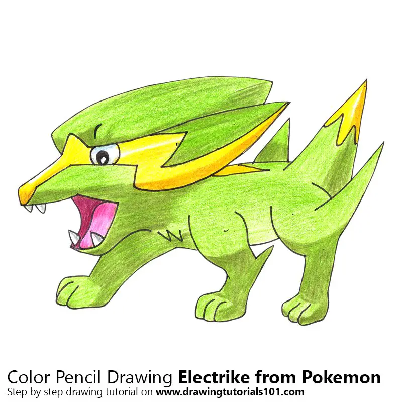 Electrike from Pokemon Color Pencil Drawing