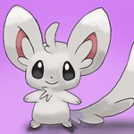 How to Draw Minccino from Pokemon