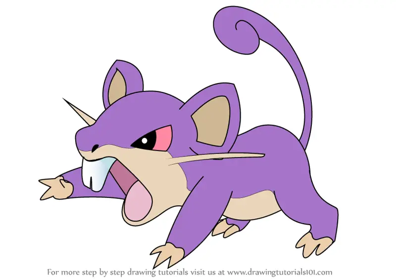 Learn How to Draw Rattata from Pokemon (Pokemon) Step by Step : Drawing ...