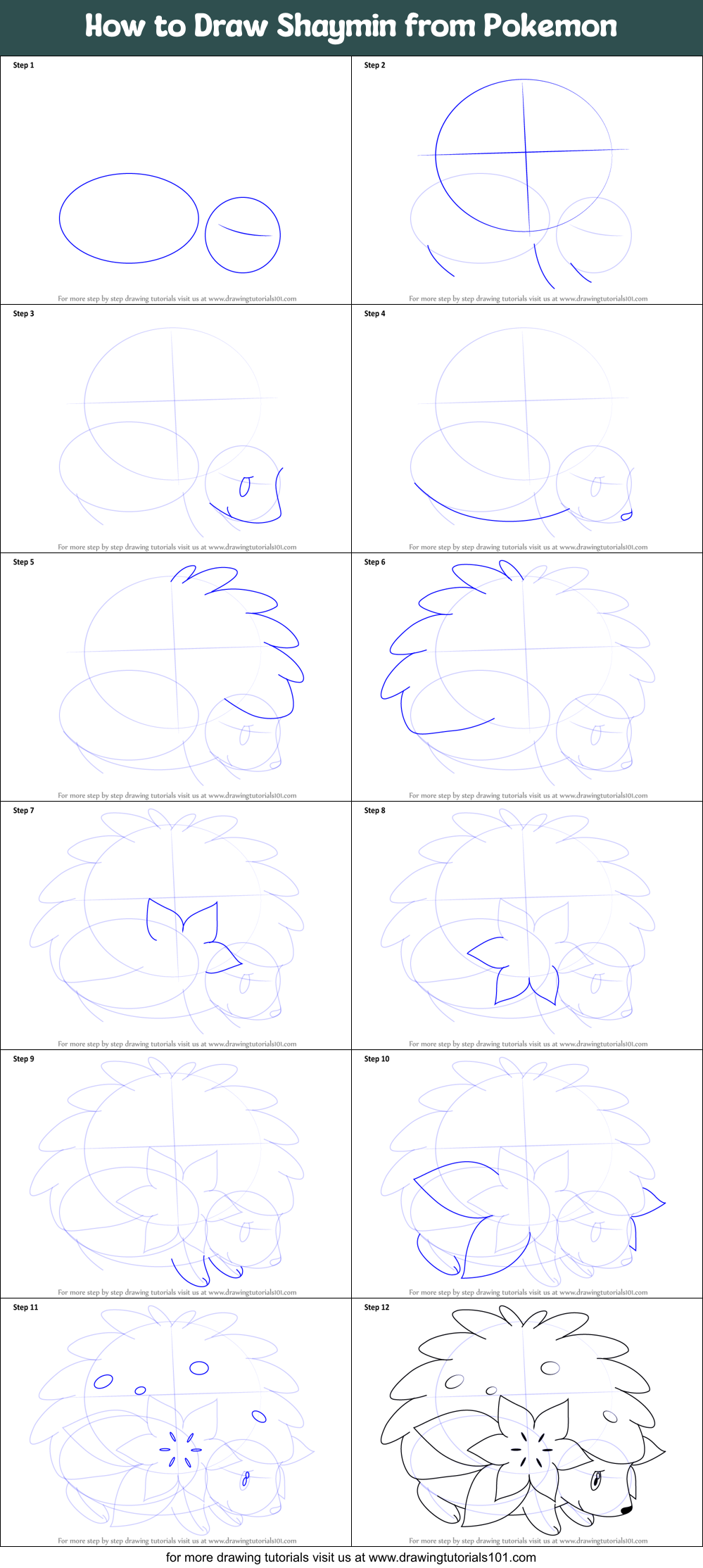 drawing of tips on how to draw shaymin