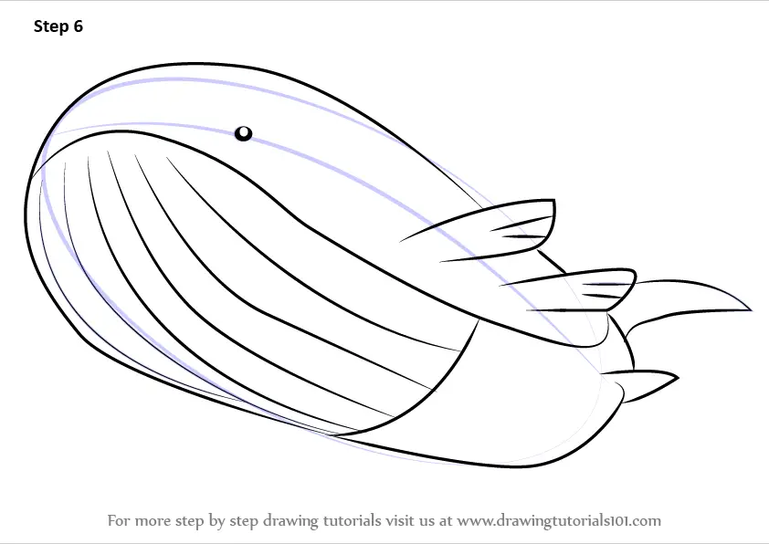 learn-how-to-draw-wailord-from-pokemon-pokemon-step-by-step-drawing