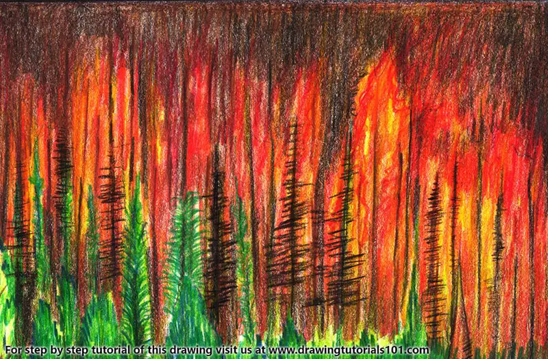 Forest Fire Colored Pencils - Drawing Forest Fire with ...