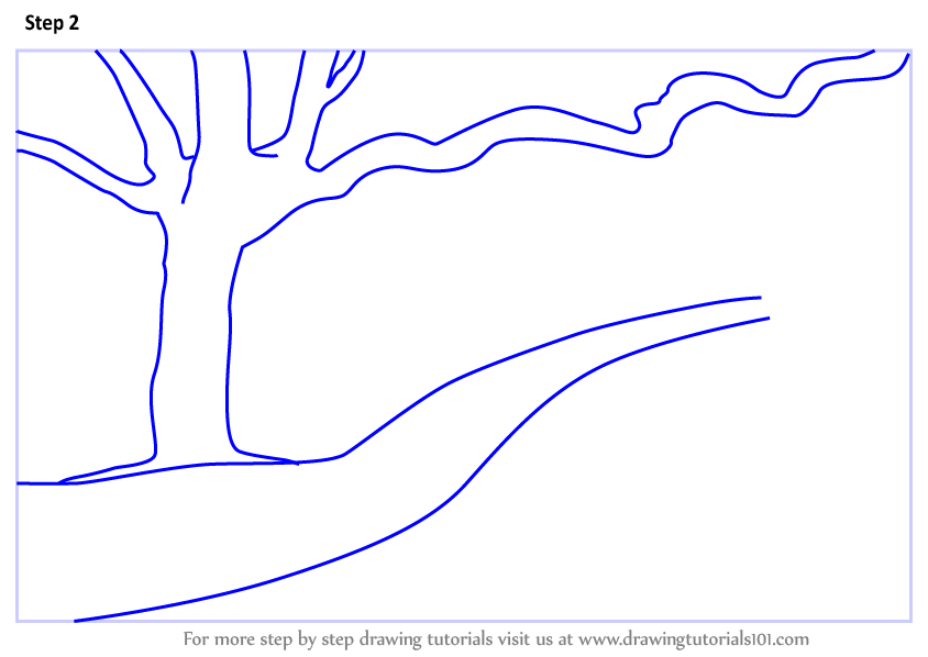 Learn How to Draw a Forest Scenery (Forests) Step by Step : Drawing