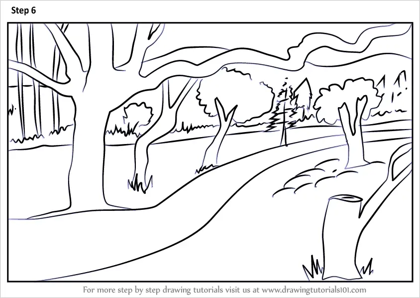 Learn How to Draw a Forest Scenery (Forests) Step by Step Drawing
