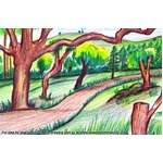 How to Draw a Forest Scenery