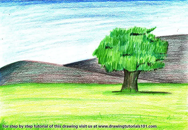 Tree Landscape Color Pencil Drawing