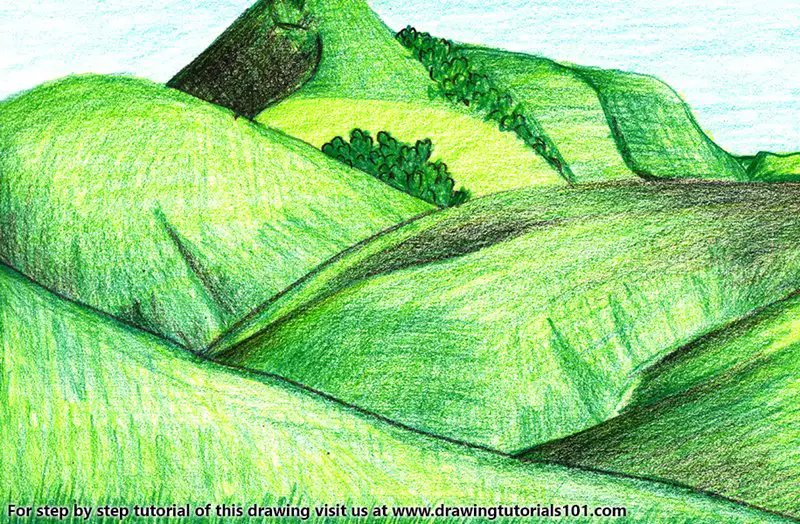 Eravikulam National Park Valley Color Pencil Drawing