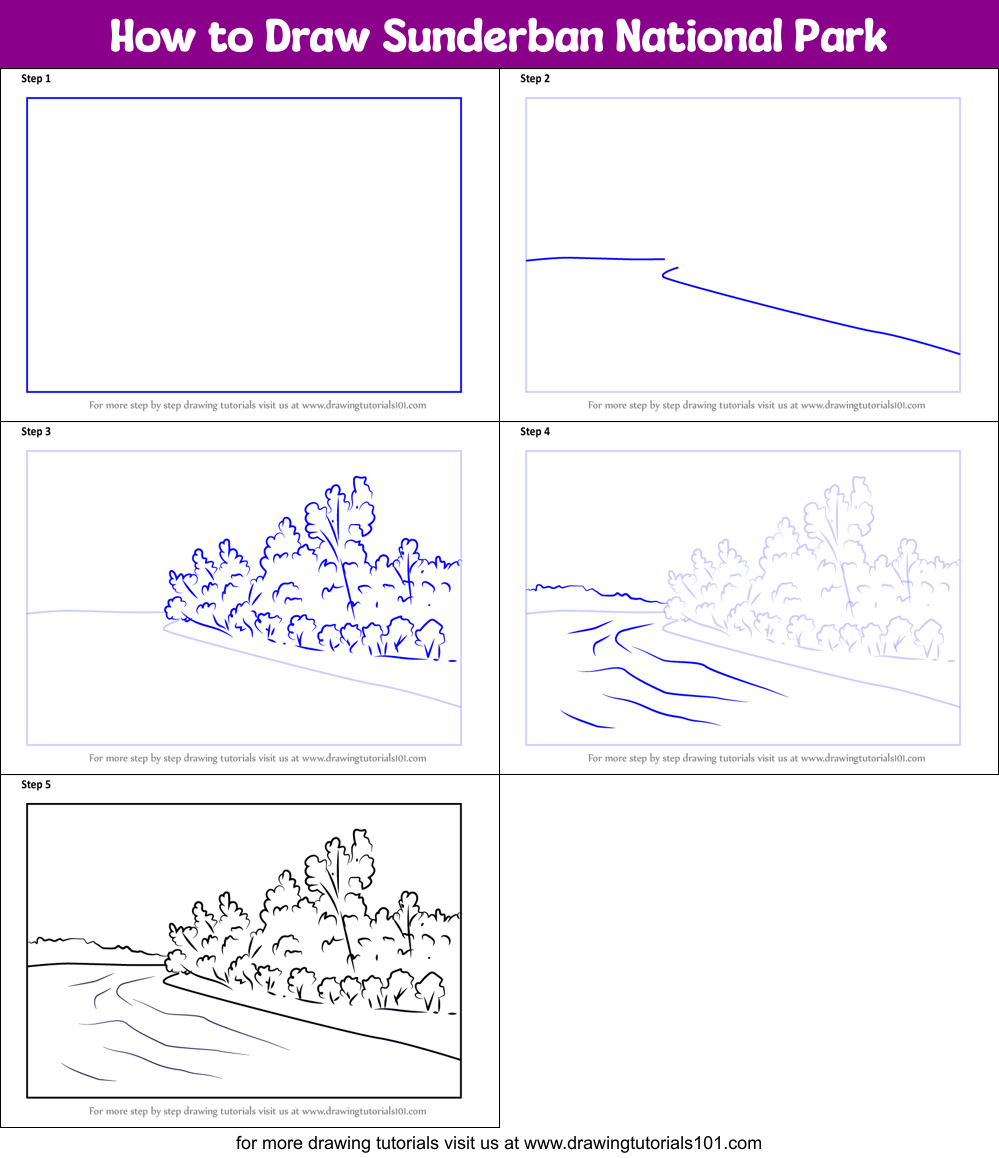 How to Draw Sunderban National Park printable step by step drawing ...